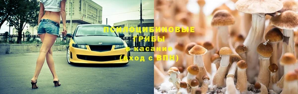 гидропоника Зерноград