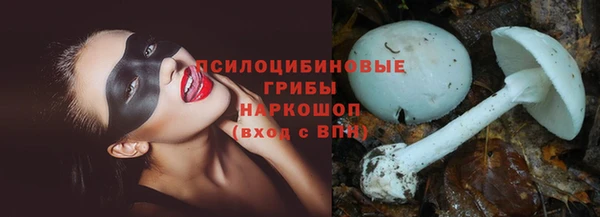 гидропоника Зерноград