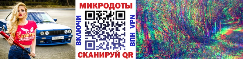 Купить  Ковылкино  Галлюциногенные грибы Psilocybe 