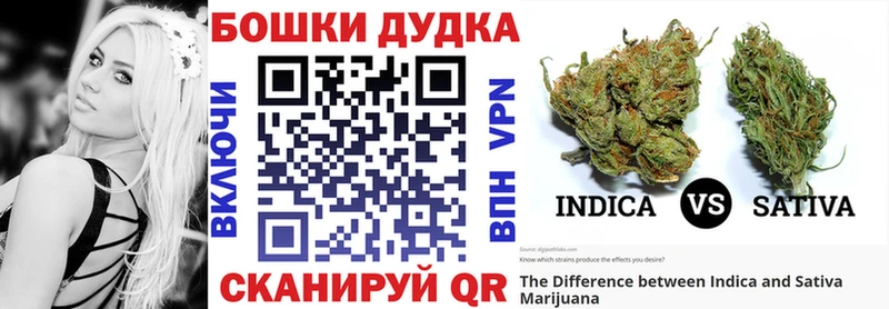 Купить закладки  Ковылкино  Бошки Шишки тримм 
